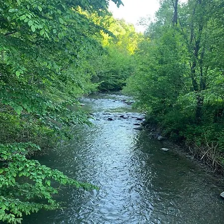 Holiday home By The River Valea Draganului Poeni