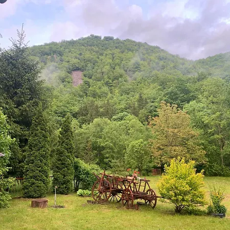 Holiday home By The River Valea Draganului Poeni