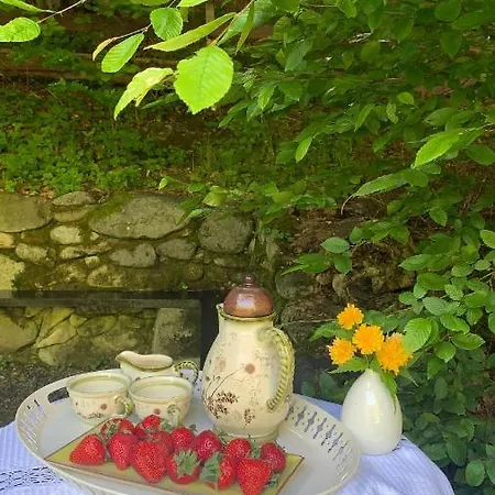 By The River Valea Draganului Holiday home Poeni