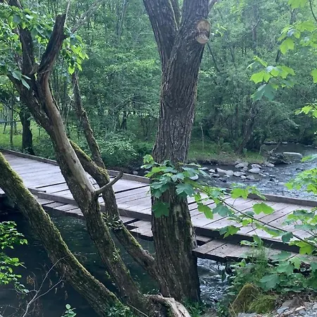 Holiday home By The River Valea Draganului Poeni