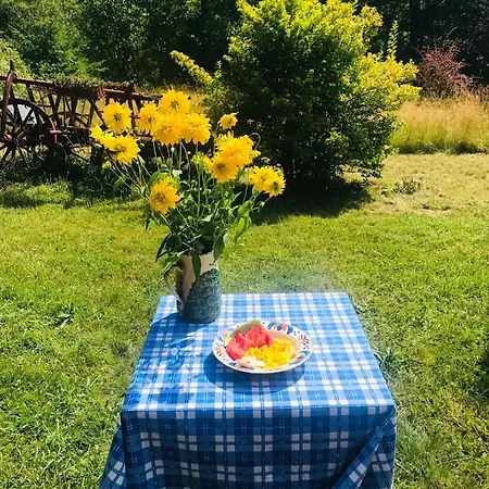 Holiday home By The River Valea Draganului