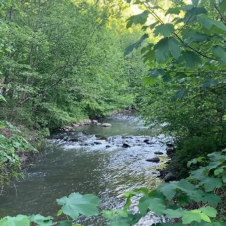 By The River Valea Draganului Holiday home
