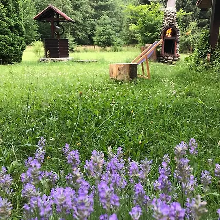 By The River Valea Draganului Holiday home