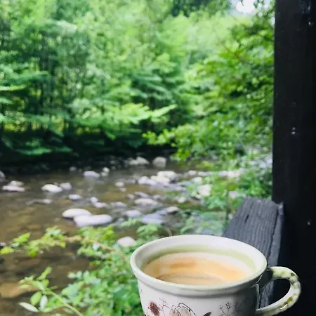 By The River Valea Draganului Holiday home