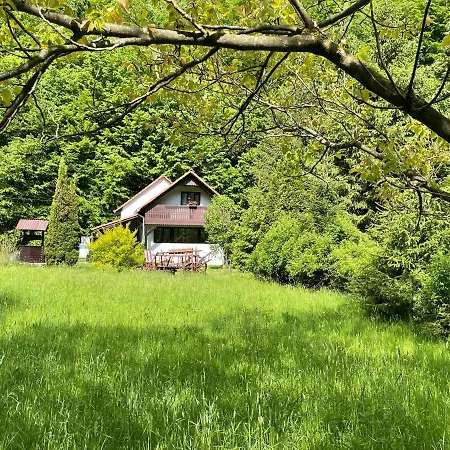 By The River Valea Draganului Holiday home