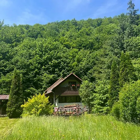 Holiday home By The River Valea Draganului