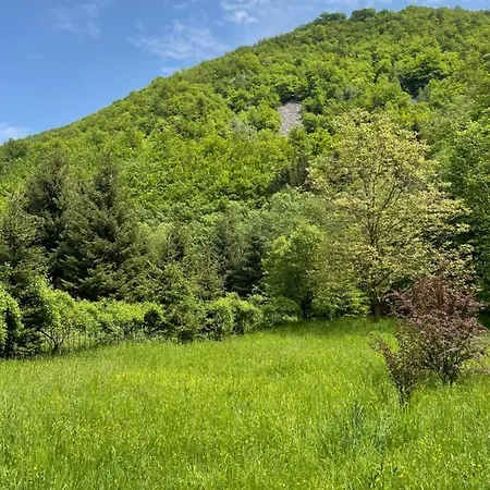 By The River Valea Draganului Holiday home Poeni
