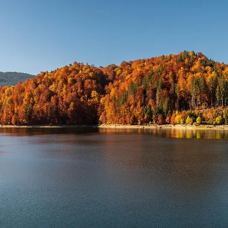 By The River Valea Draganului Holiday home Poeni