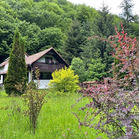 Holiday home By The River Valea Draganului *