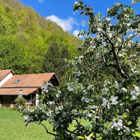 Holiday home By The River Valea Draganului *