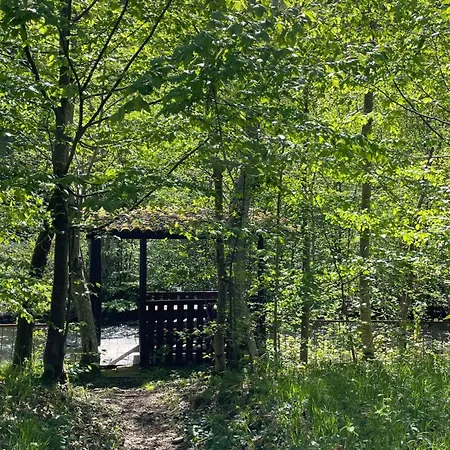 Holiday home By The River Valea Draganului