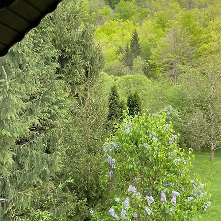 Holiday home By The River Valea Draganului *