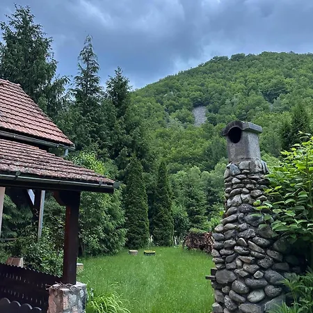 Holiday home By The River Valea Draganului